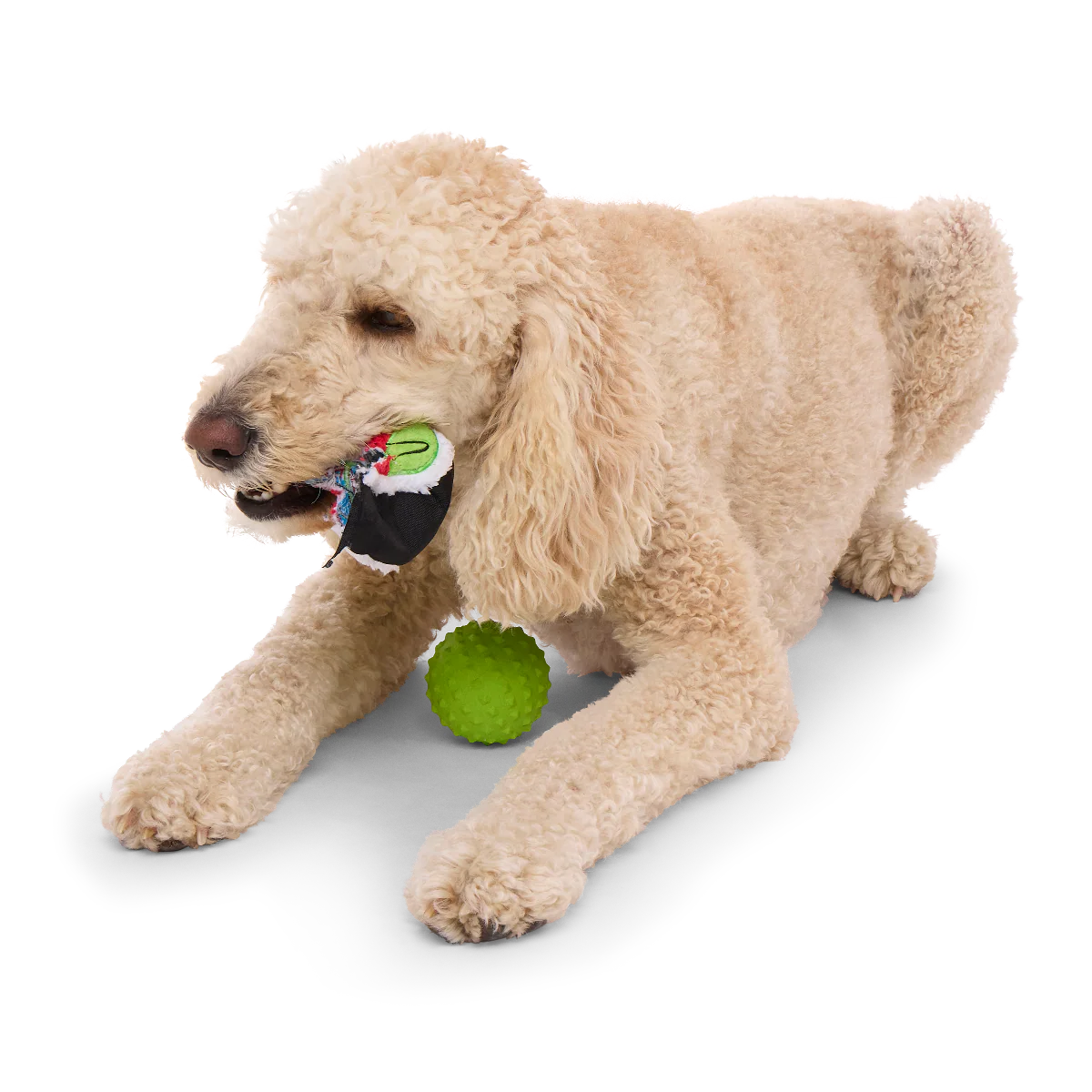 Sushi Roller Super Chewer Durable 2-in-1 + Fetch Dog Toy - Image 4