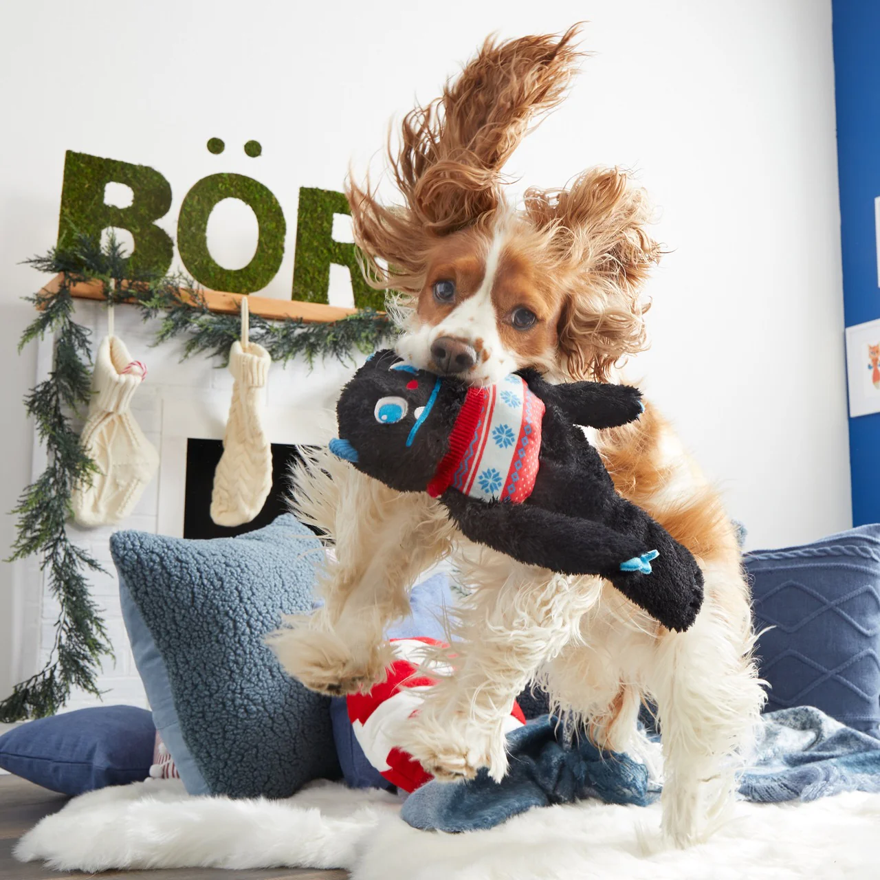 Sweaty Yeti Plush Extra-Large + Tug Dog Toy - Image 4