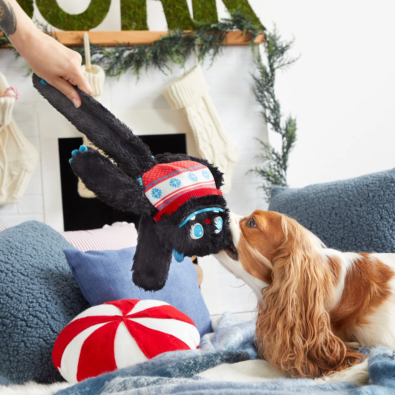 Sweaty Yeti Plush Extra-Large + Tug Dog Toy - Image 5