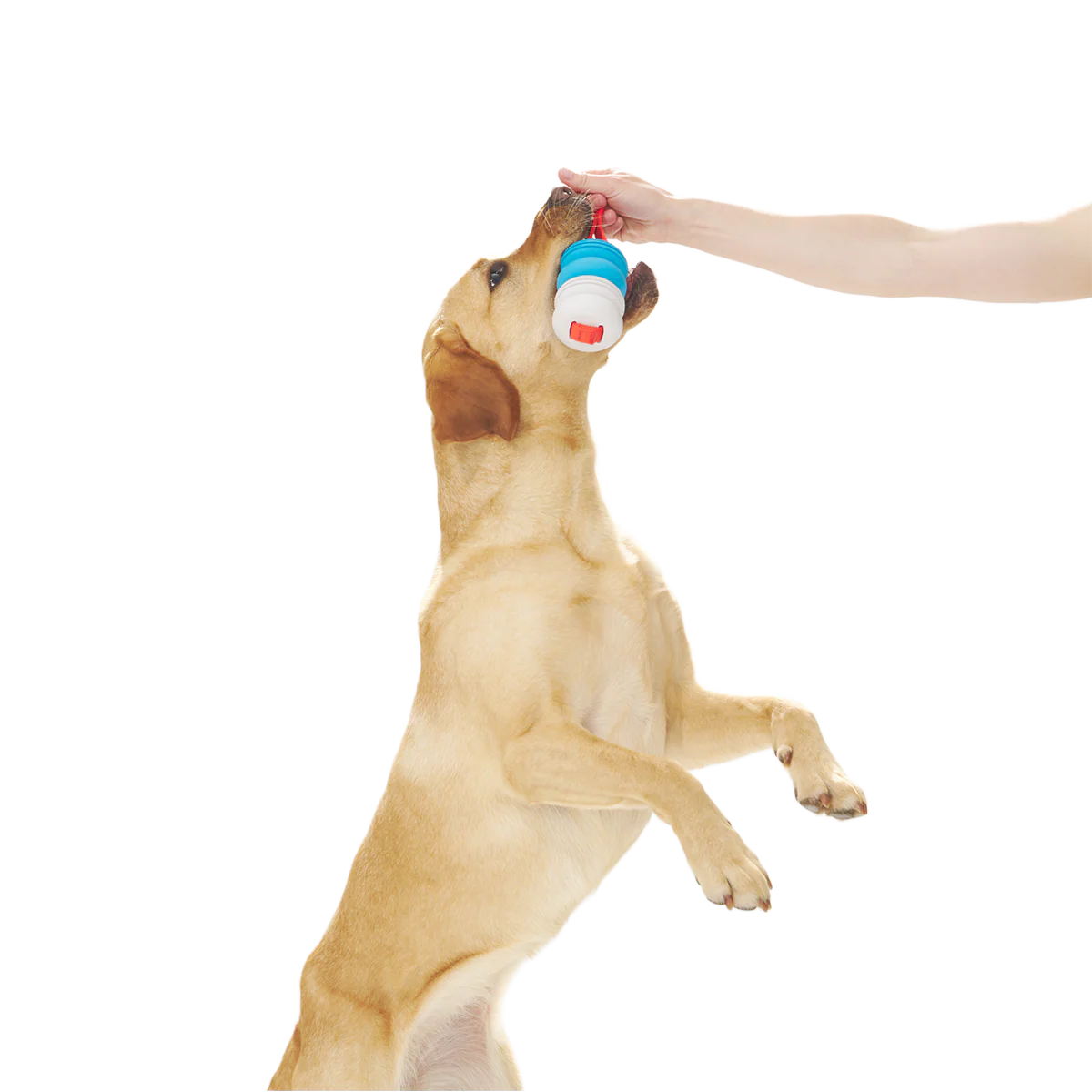 Swimming Pull Super Chewer Durable Tug Dog Toy - Image 4