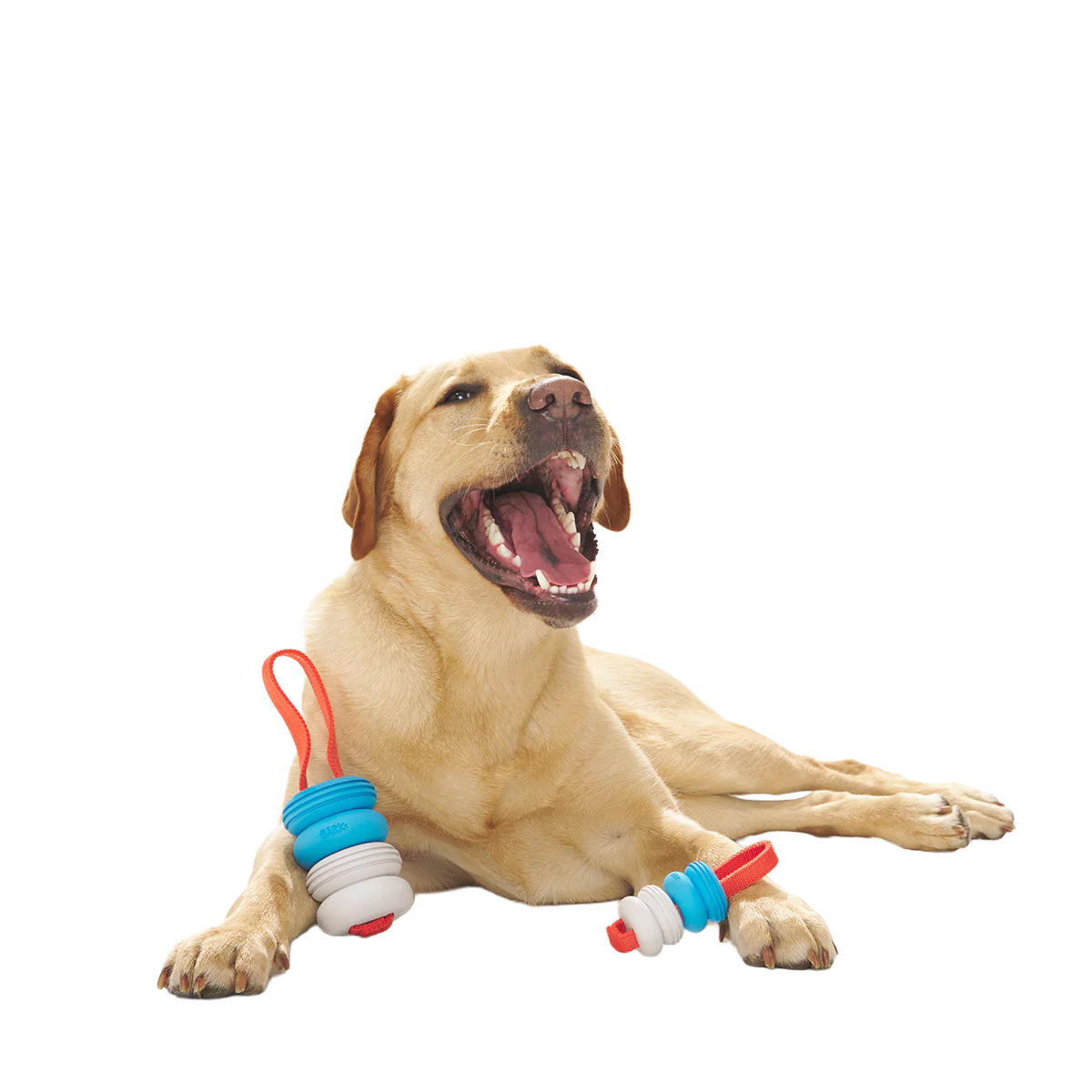 Swimming Pull Super Chewer Durable Tug Dog Toy - Image 5