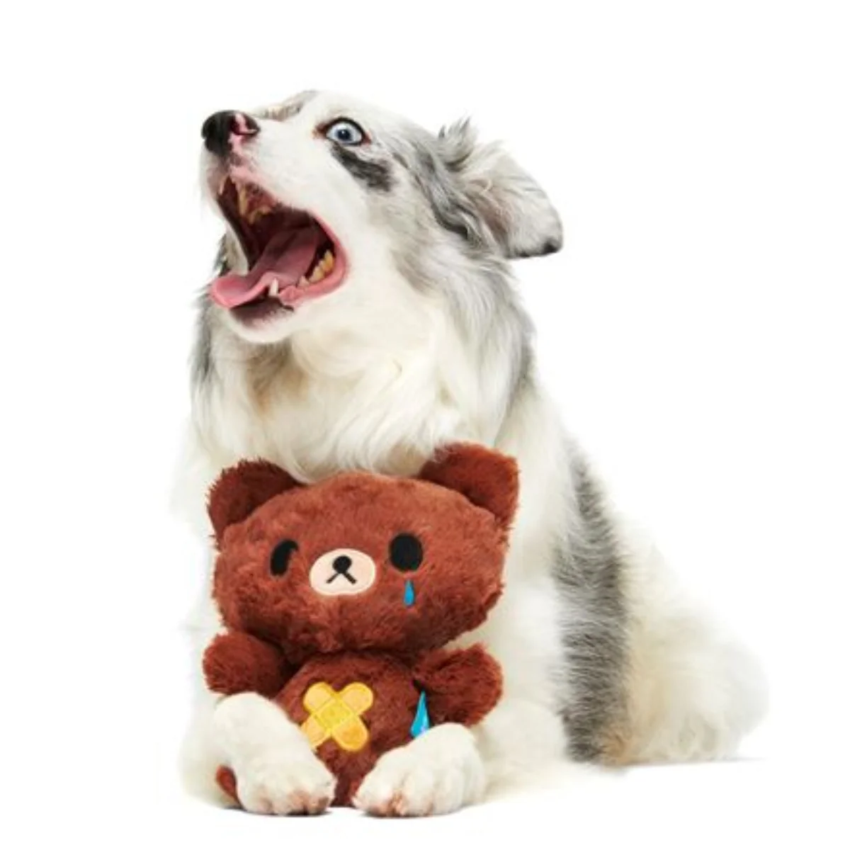 Take Care Bear Plush Dog Toy - Image 3