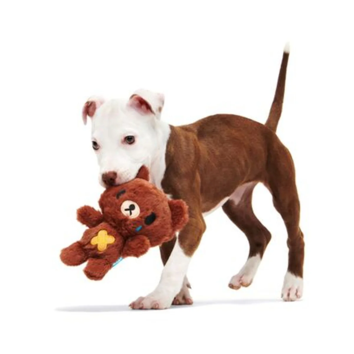 Take Care Bear Plush Dog Toy - Image 5