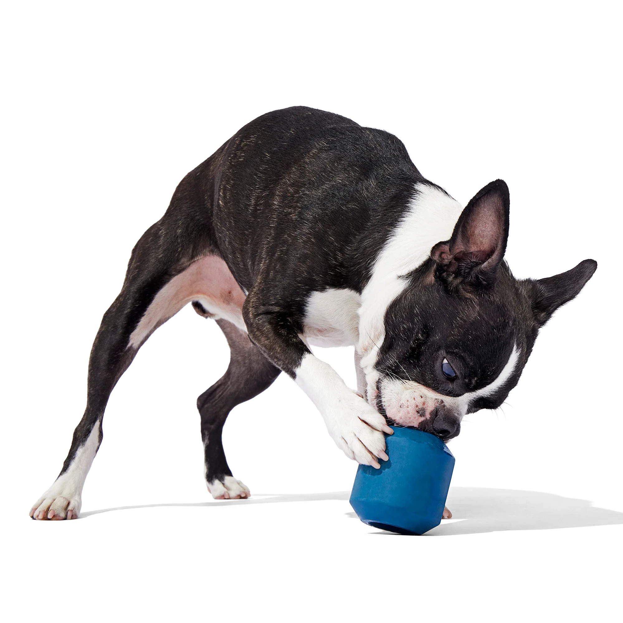 Tank Toy Super Chewer Durable Enrichment Dog Toy - Image 4