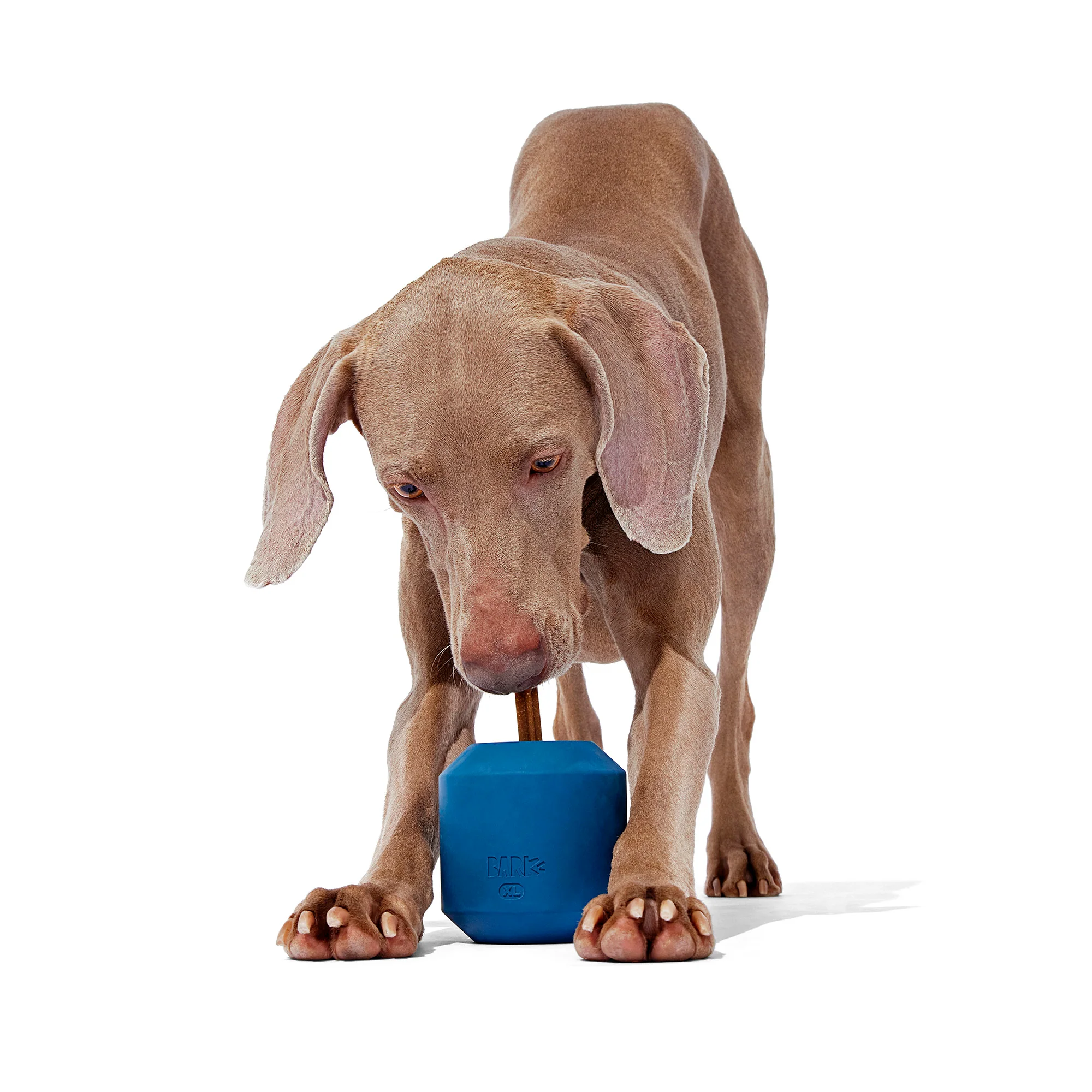 Tank Toy Super Chewer Durable Enrichment Dog Toy - Image 5