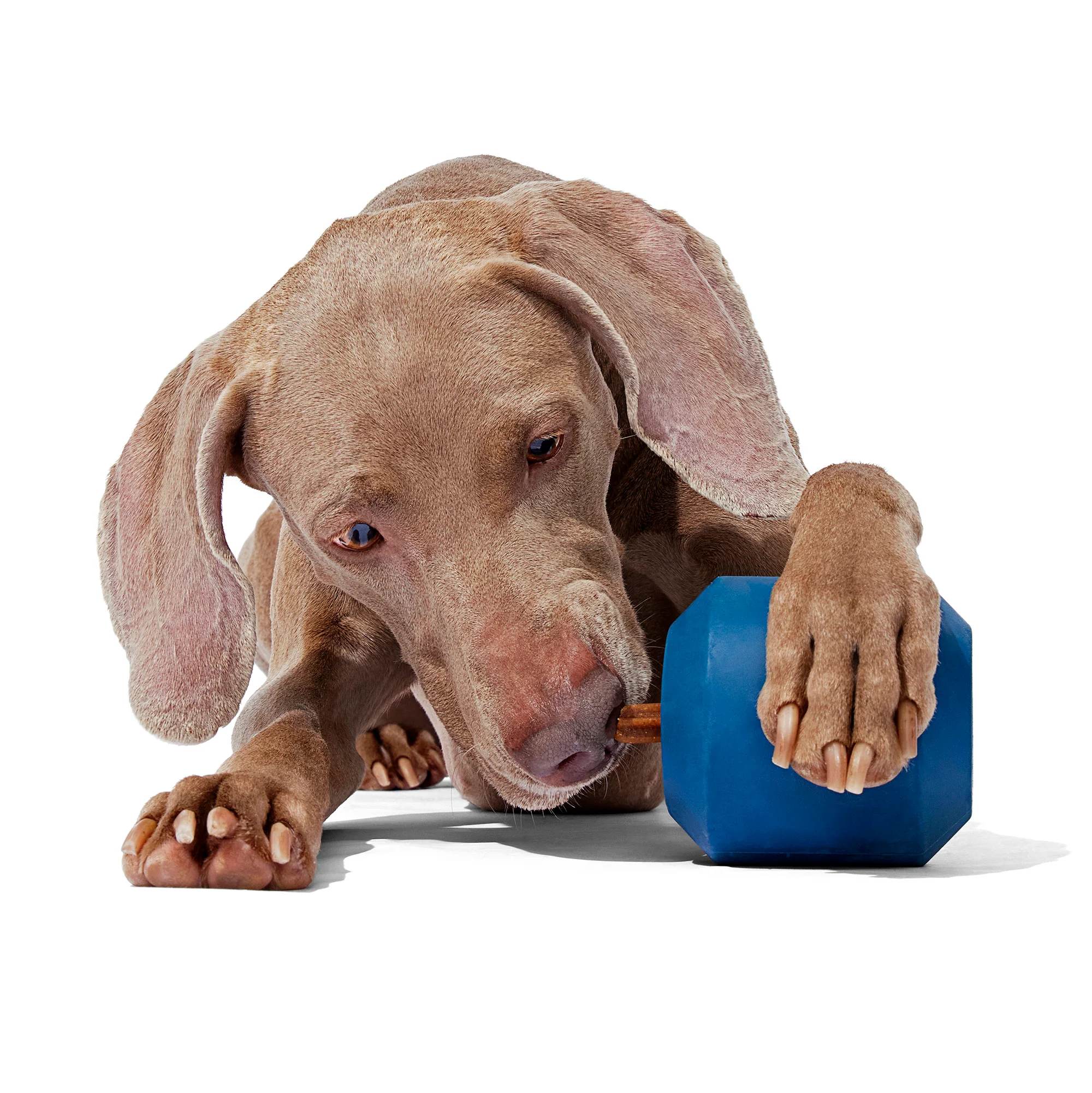 Tank Toy Super Chewer Durable Enrichment Dog Toy - Image 6