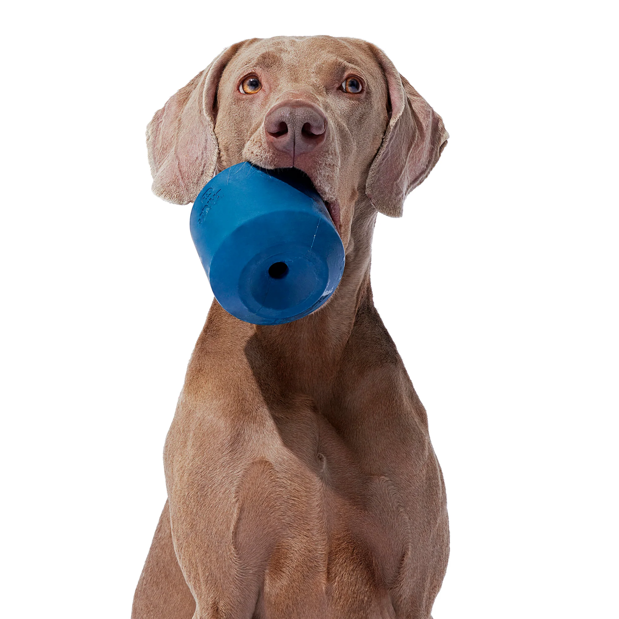 Tank Toy Super Chewer Durable Enrichment Dog Toy - Image 7