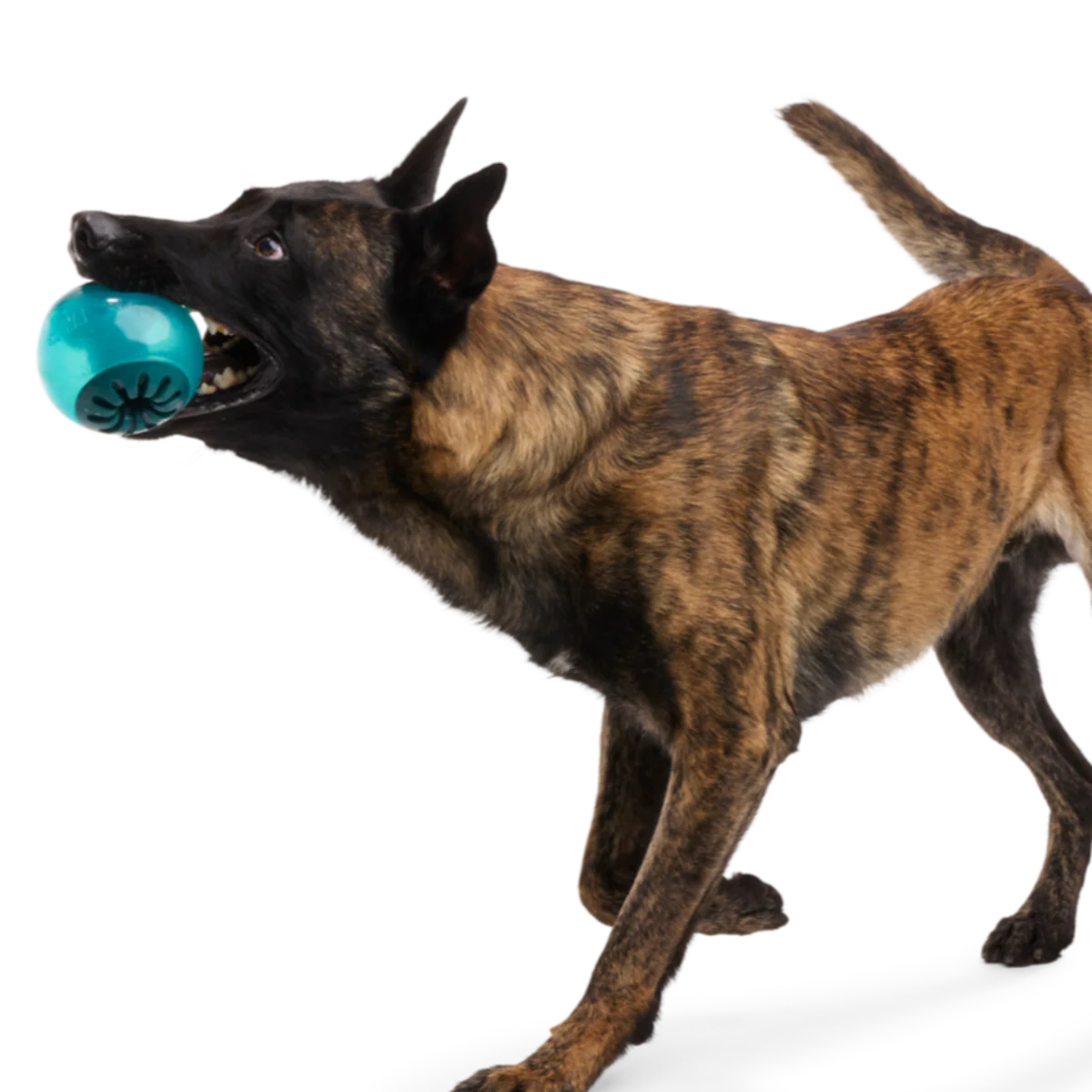 Teal Vortex Durable Super Chewer Enrichment + Fetch Dog Toy - Image 2