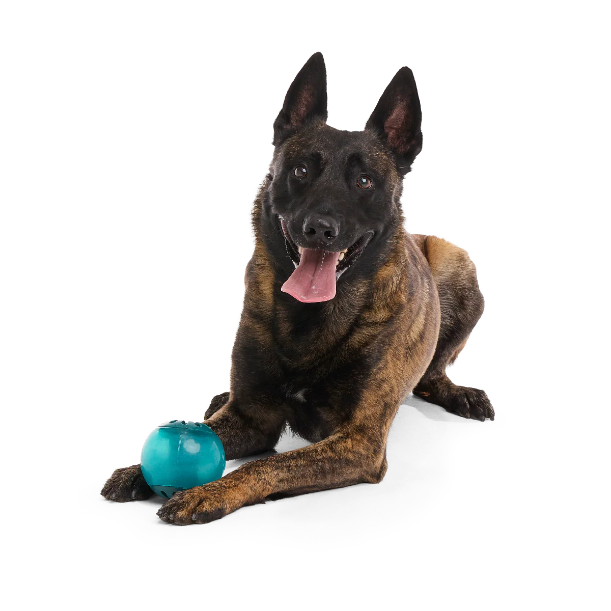 Teal Vortex Durable Super Chewer Enrichment + Fetch Dog Toy - Image 3
