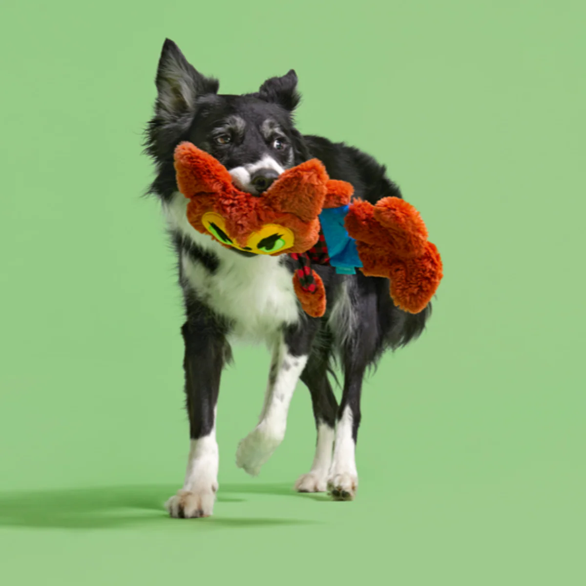 Teen Woof Plush Tug Dog Toy - Image 2
