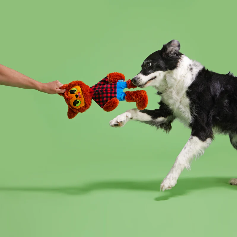 Teen Woof Plush Tug Dog Toy - Image 3