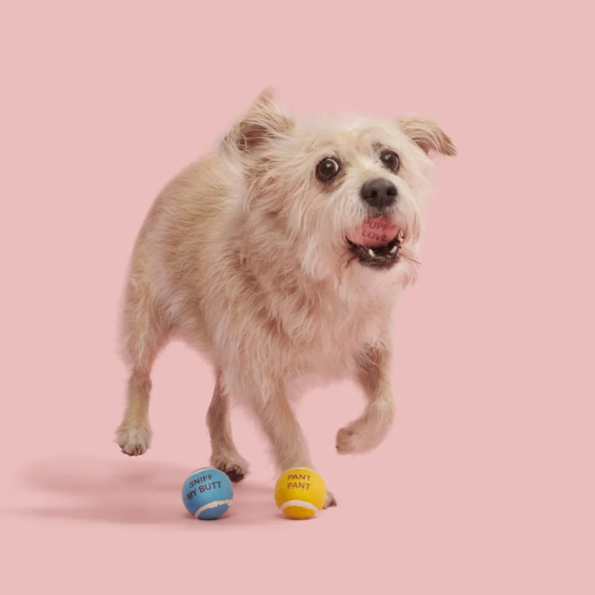 Squeakheart Balls - Image 3