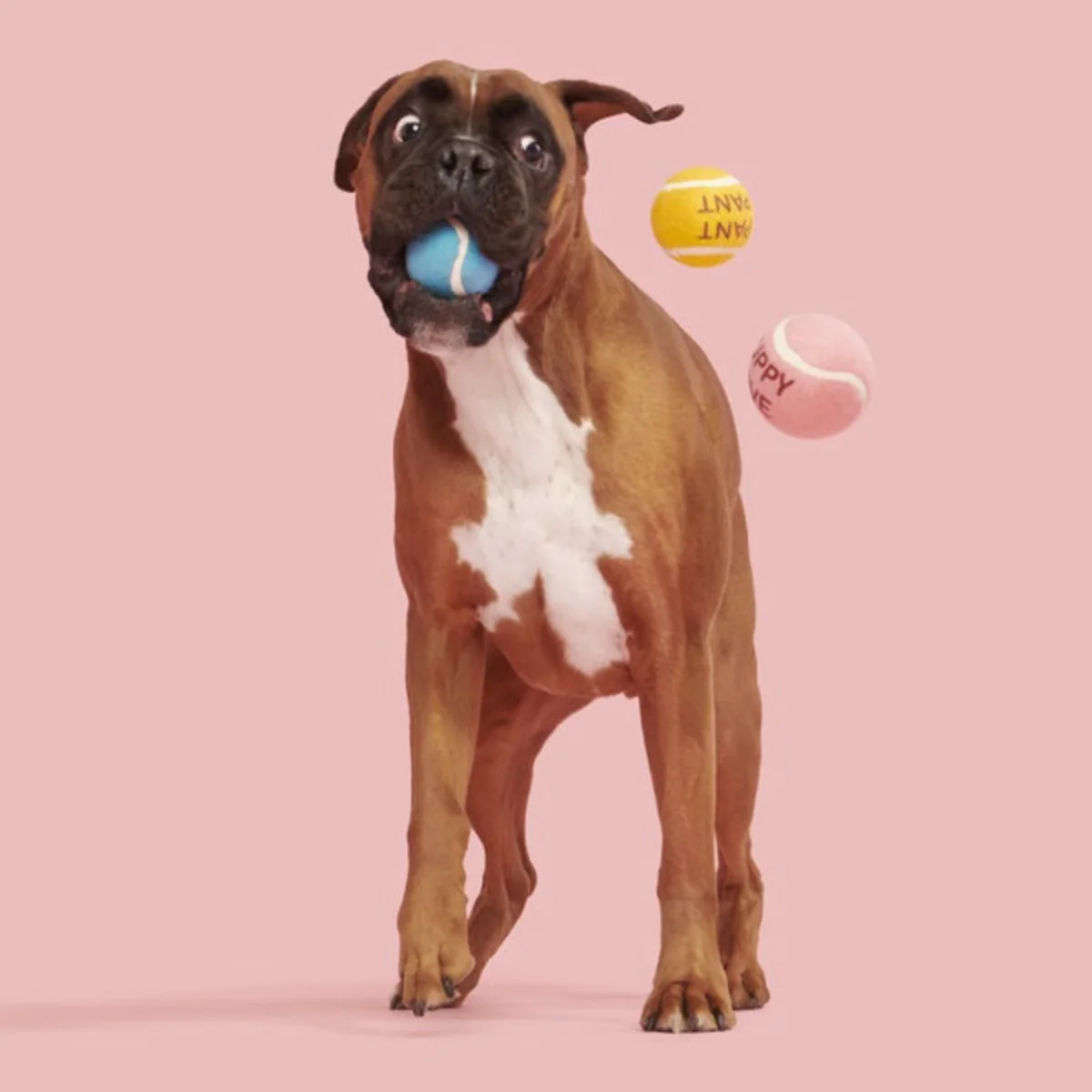 Squeakheart Balls - Image 4