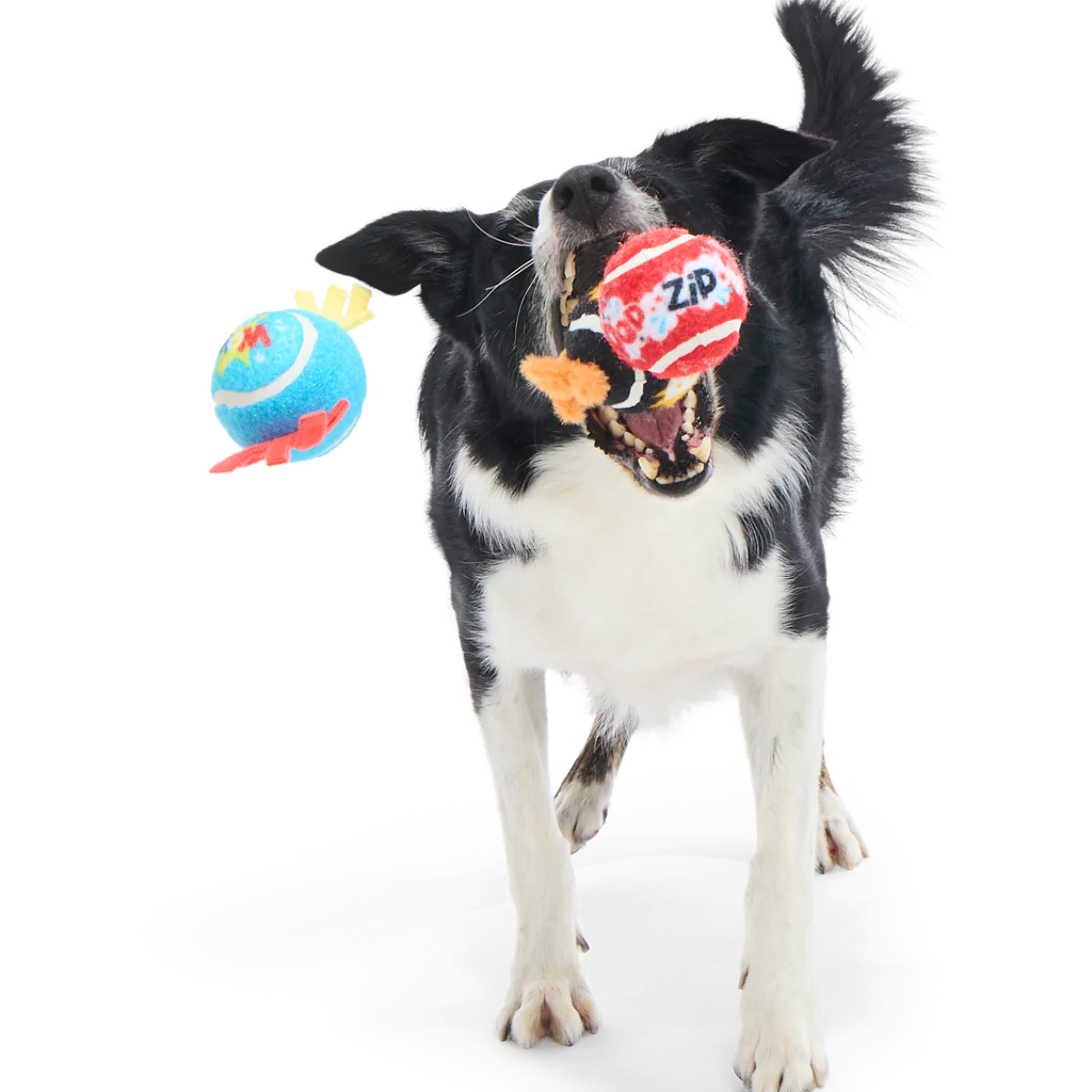 Tennis Ball Club, 3 Squeaky Monthly Tennis Ball Dog Toys - Image 4