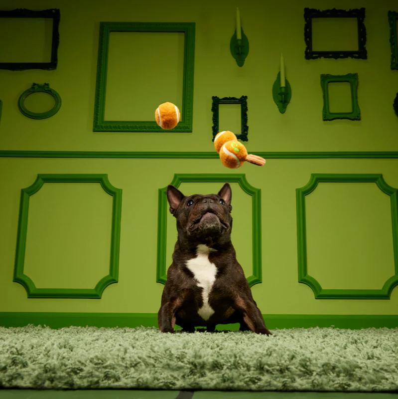 Dandy Apples - Image 3