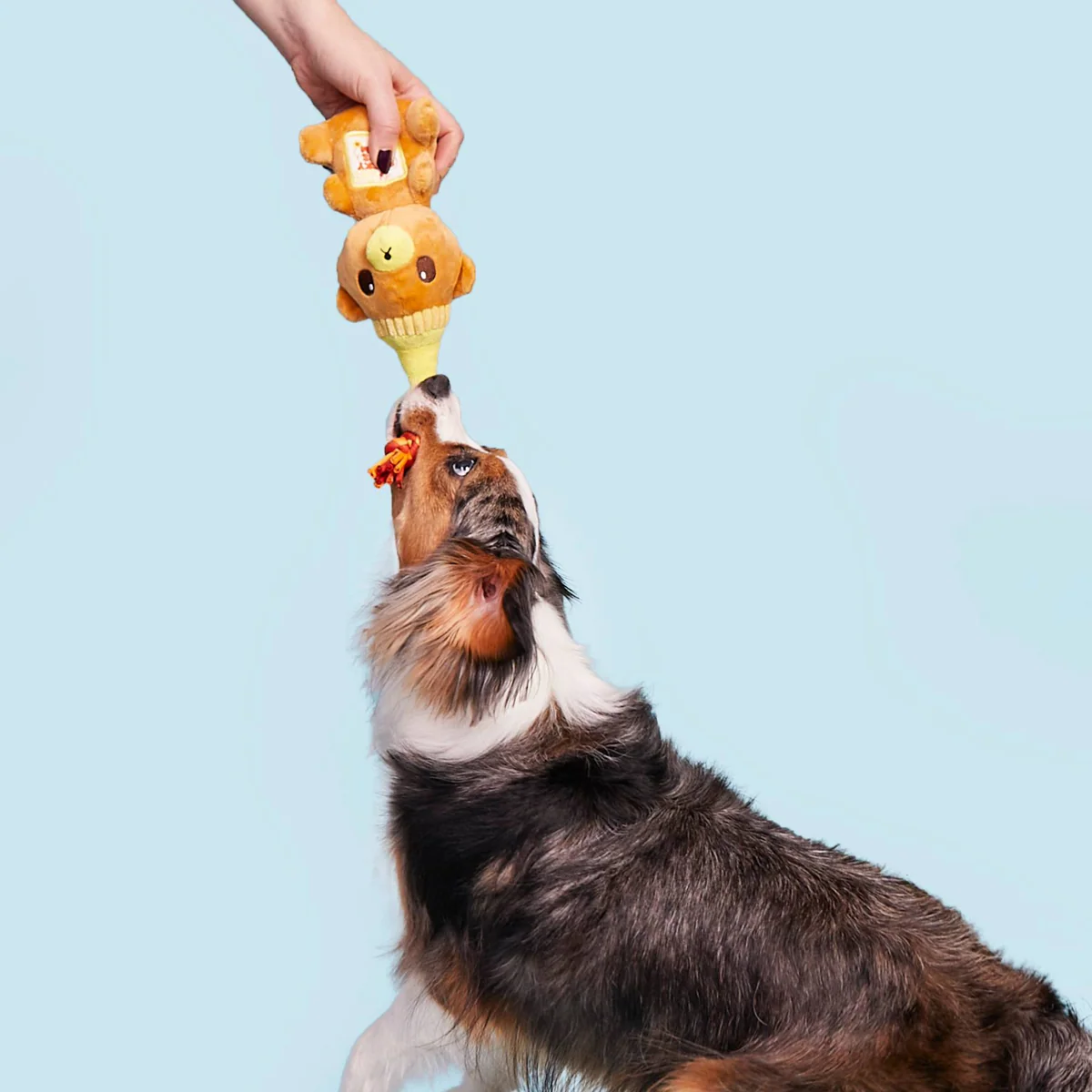 That's My Jam, Honey Plush Multi-Part + Enrichment Dog Toy - Image 3