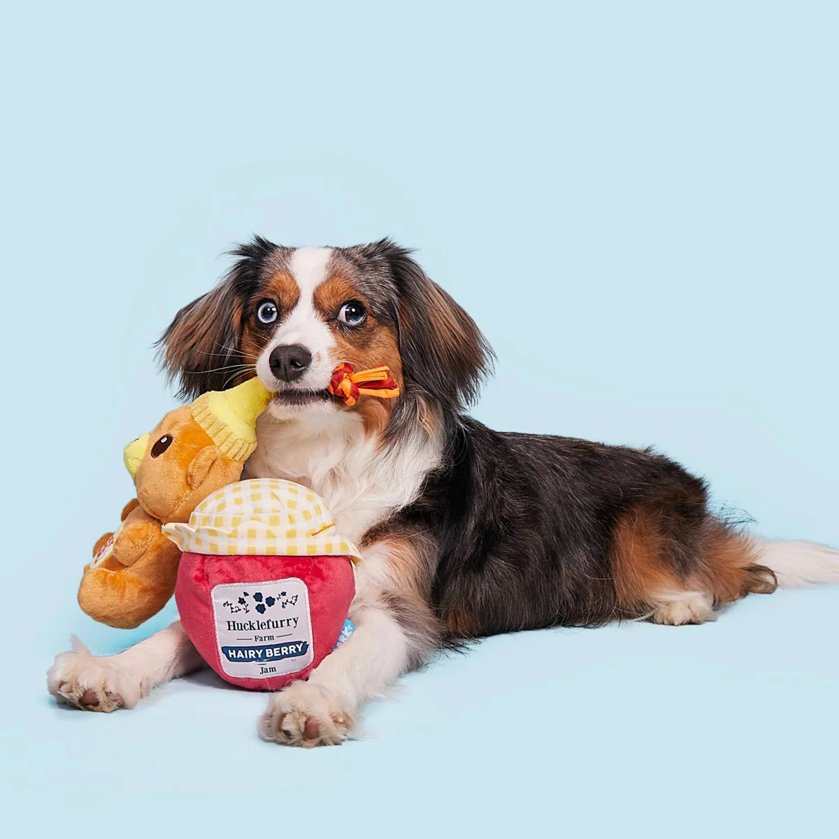 That's My Jam, Honey Plush Multi-Part + Enrichment Dog Toy - Image 4