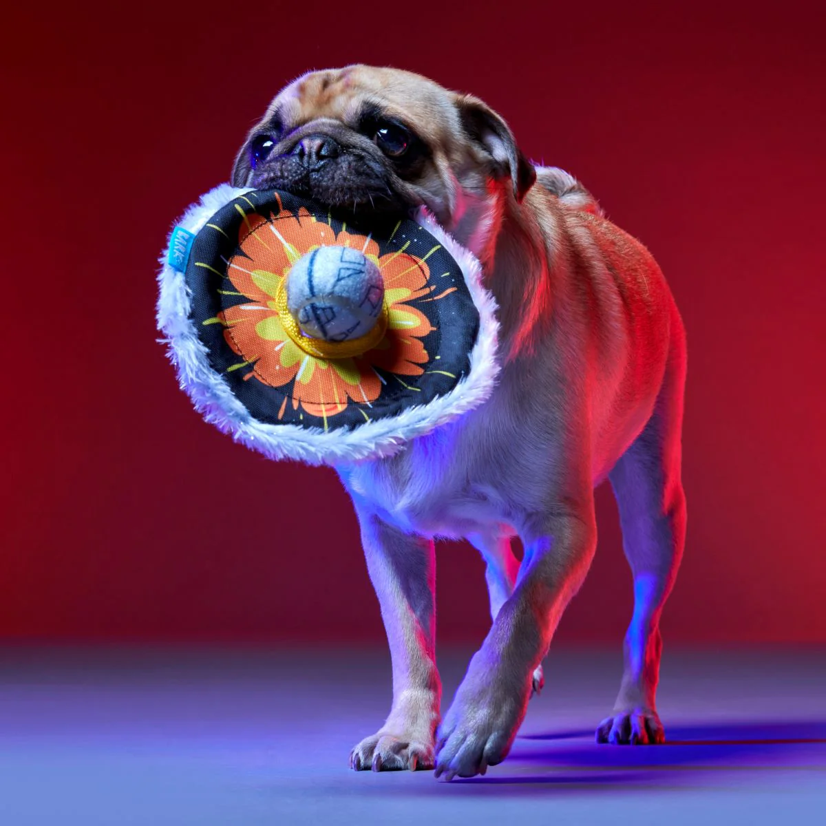 That's No Moon Plush Multi-Part + Fetch Dog Toy - Image 3
