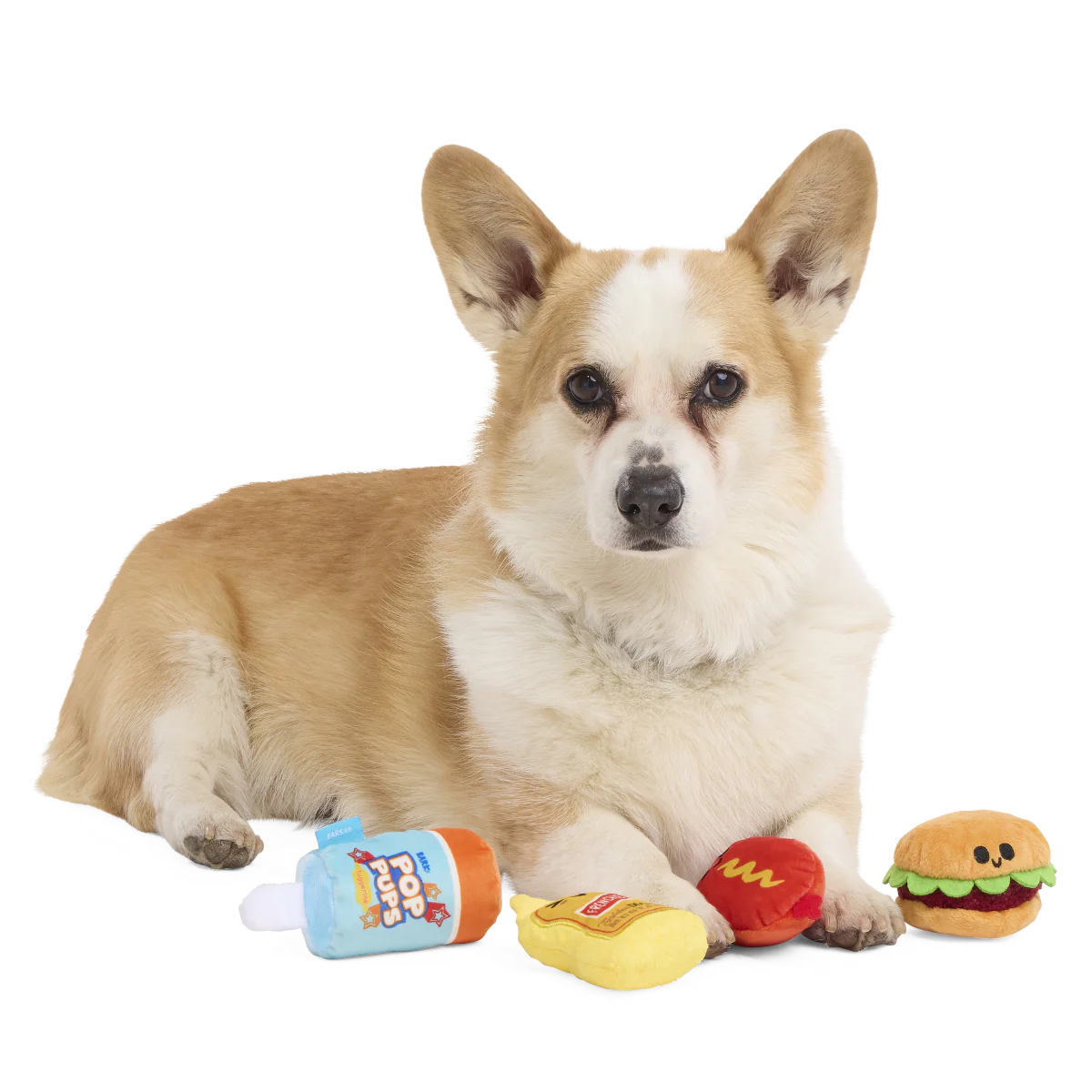 The Bark-B-Q Bunch Plush Multi-Part Dog Toy - Image 2