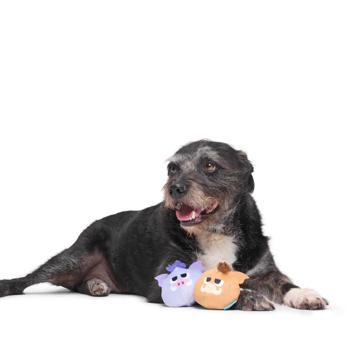 The Boar Bros Plush Multi-Part Dog Toy - Image 2