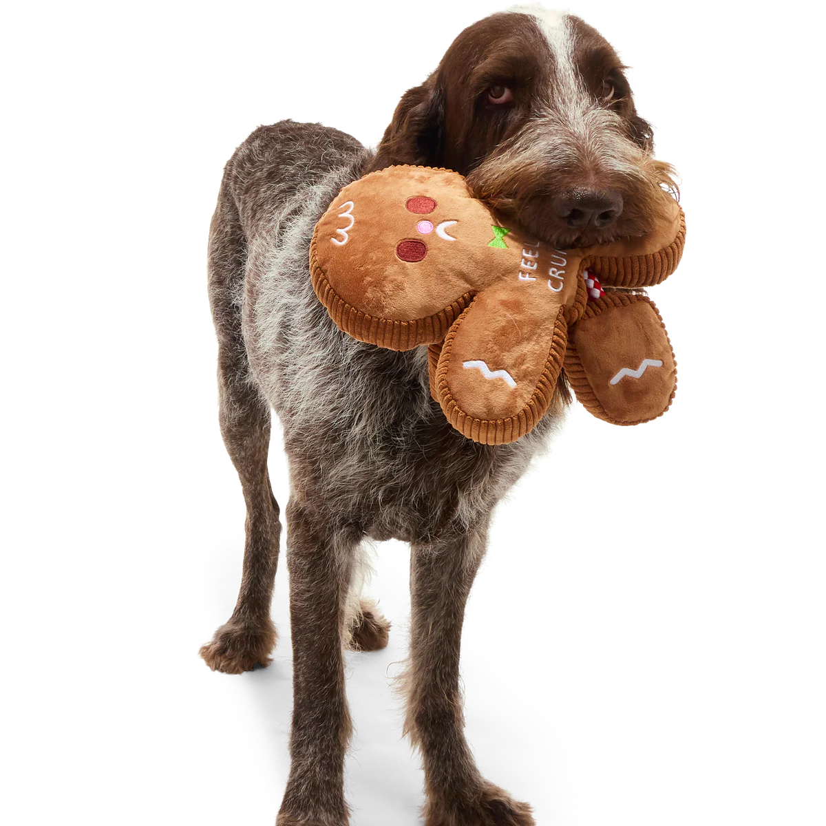 The Crumbum King Plush Tug + Extra-Large Dog Toy - Image 2