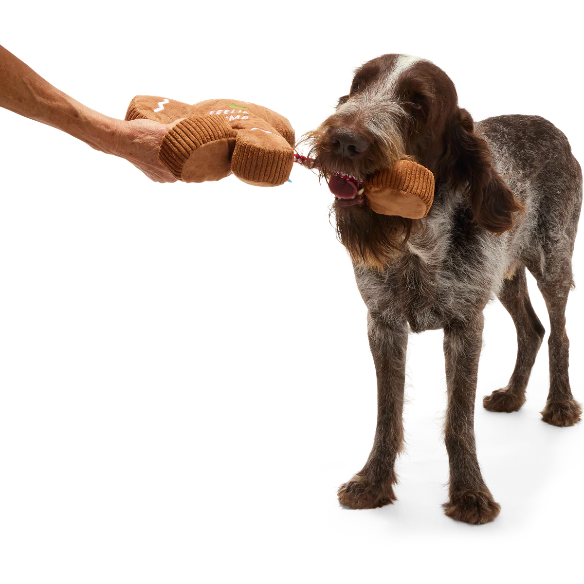 The Crumbum King Plush Tug + Extra-Large Dog Toy - Image 4