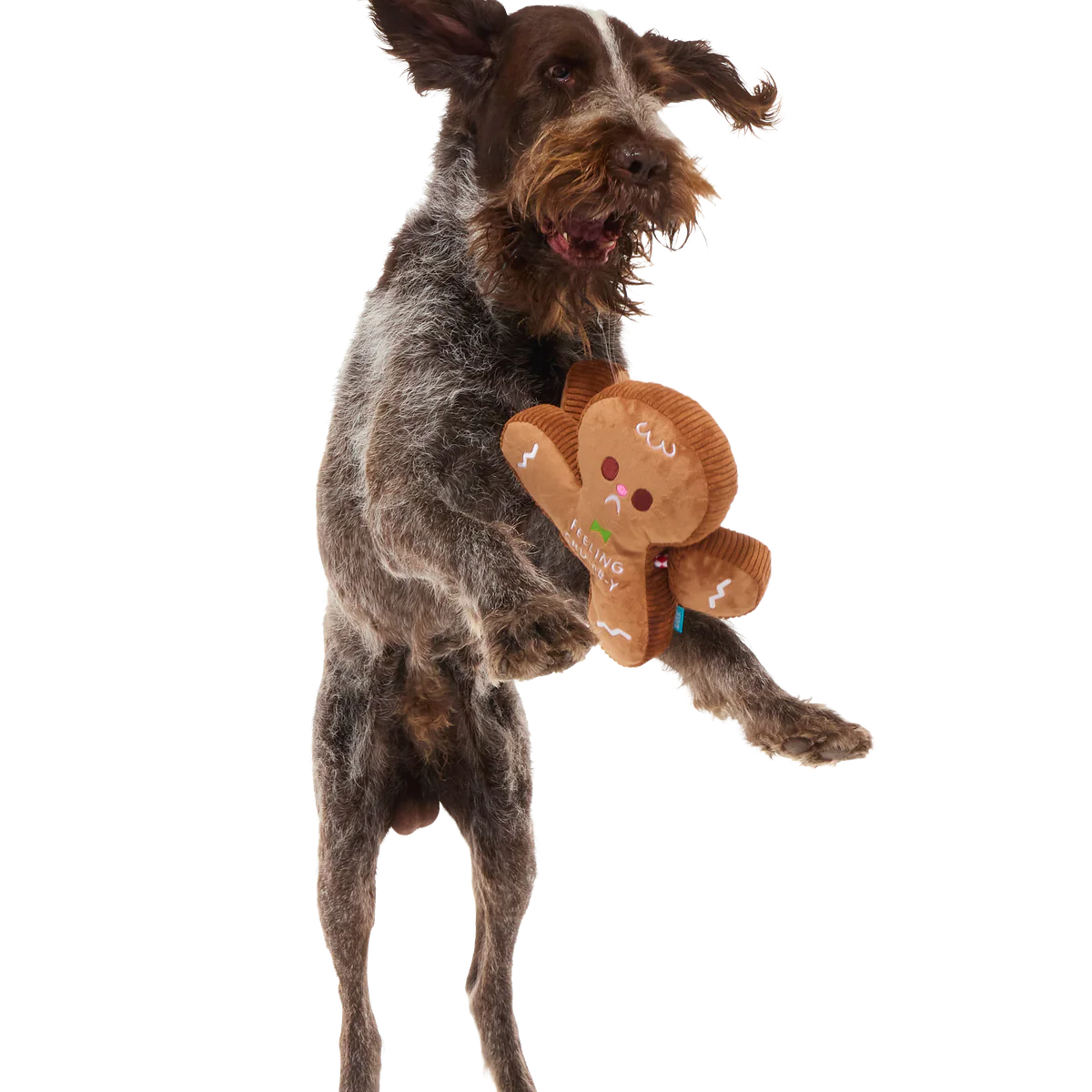 The Crumbum King Plush Tug + Extra-Large Dog Toy - Image 5