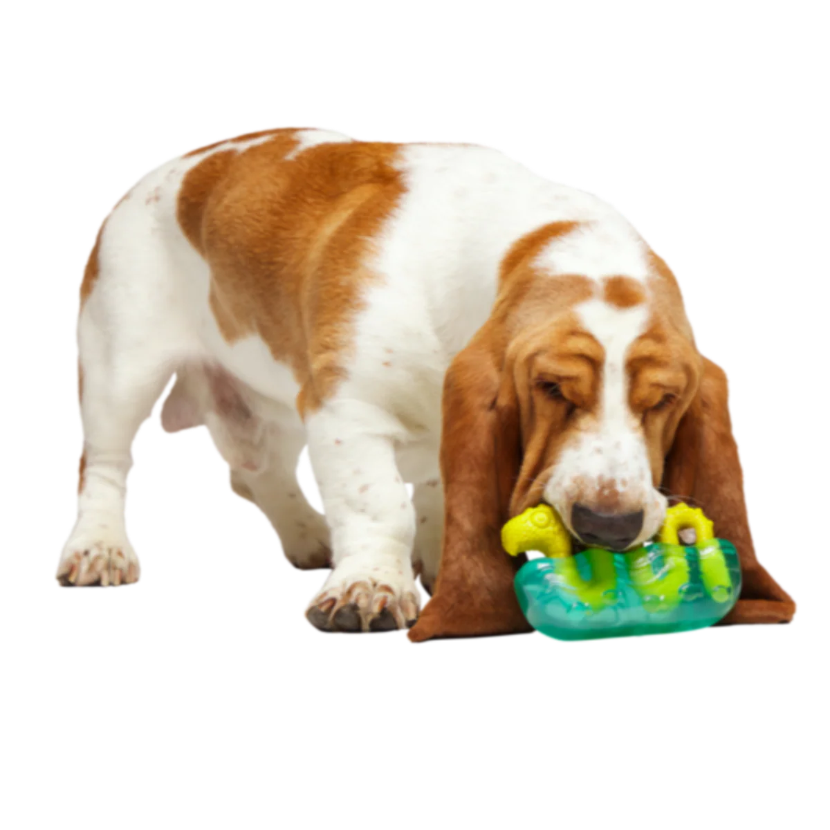 The Dogness Monster Super Chewer Durable Gnaw Dog Toy - Image 2