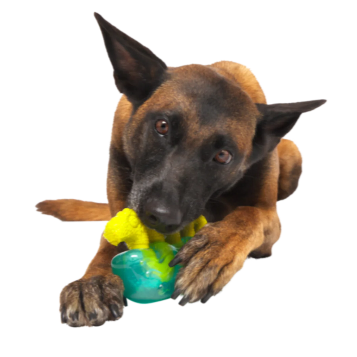 The Dogness Monster Super Chewer Durable Gnaw Dog Toy - Image 3