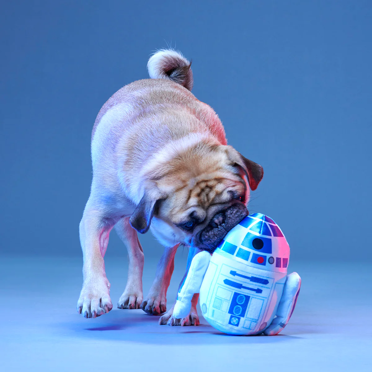 The Droid You're Looking For Plush 2-in-1 + Fetch Dog Toy - Image 6