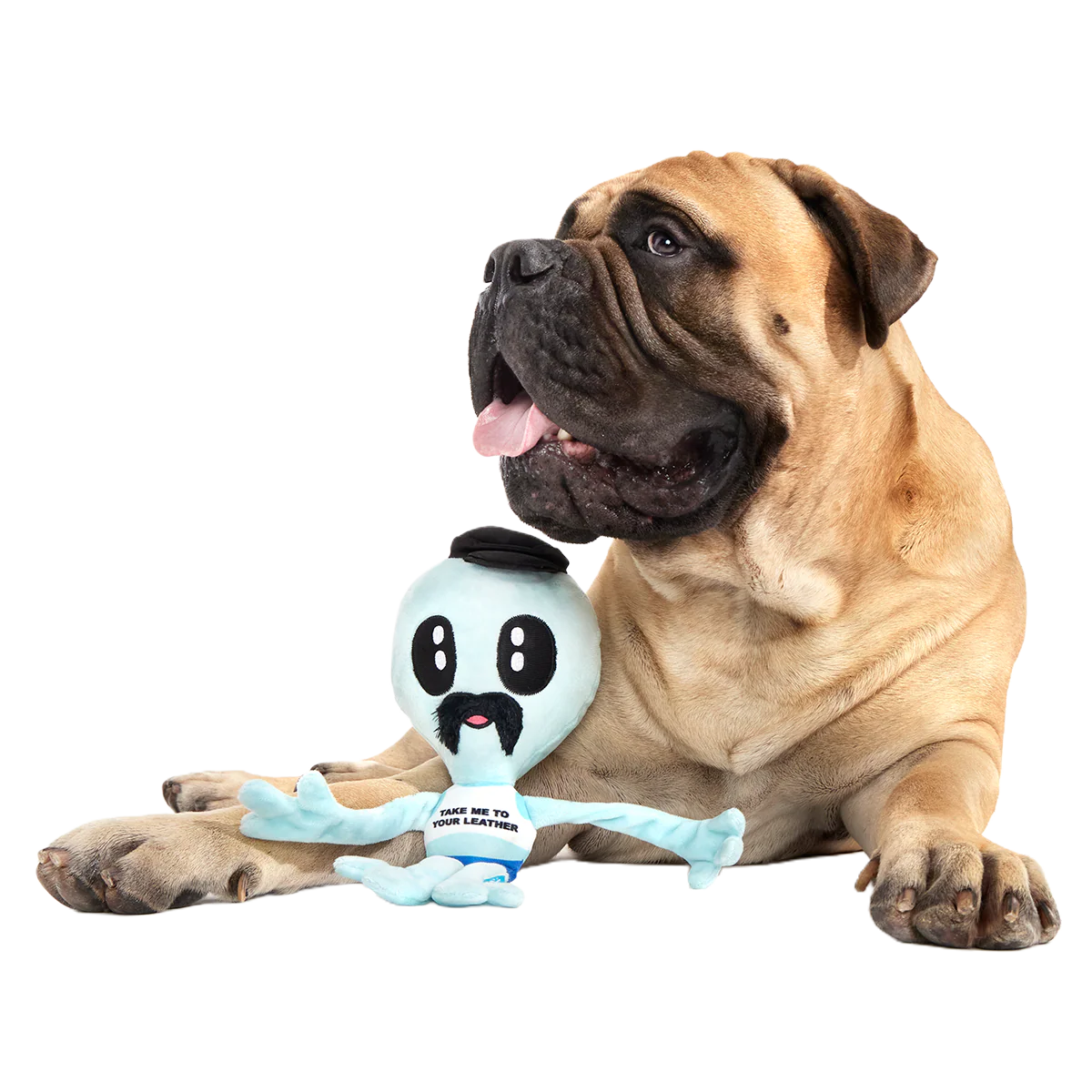 The Gaylien Plush 2-in-1 Tug Dog Toy - Image 4