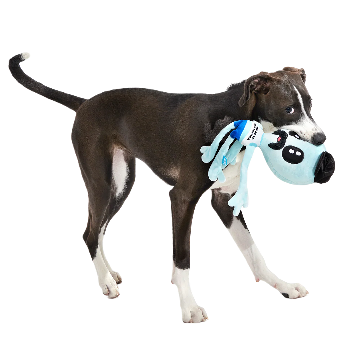 The Gaylien Plush 2-in-1 Tug Dog Toy - Image 5