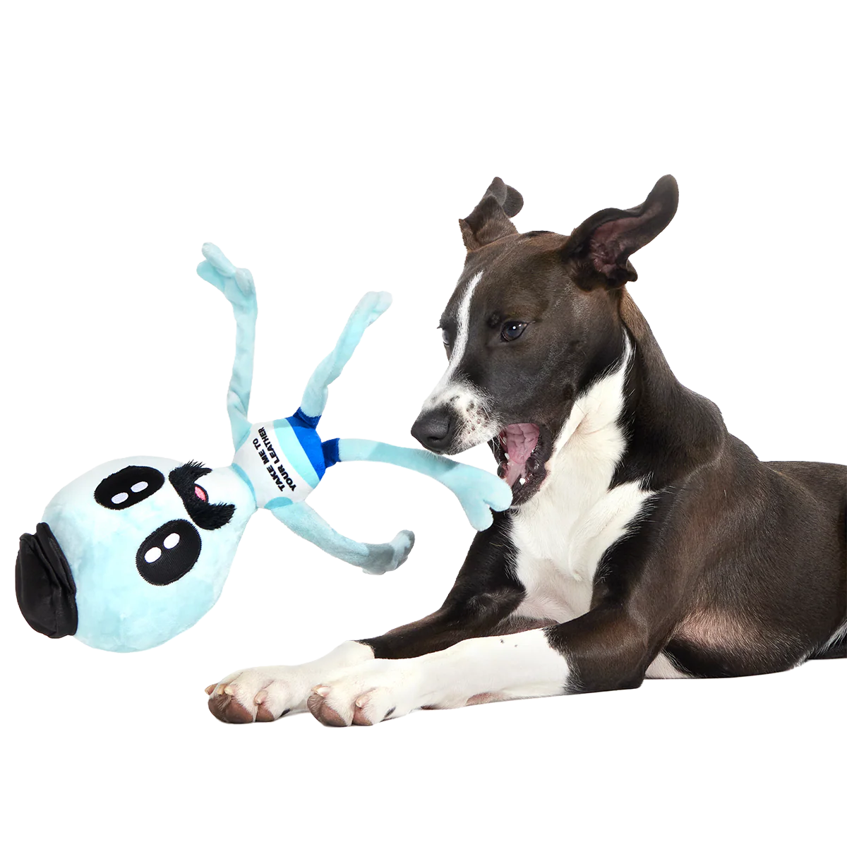 The Gaylien Plush 2-in-1 Tug Dog Toy - Image 6