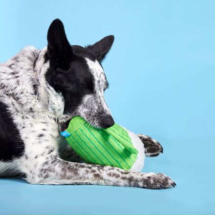 The Glass Is Greener Plush Dog Toy - Image 3