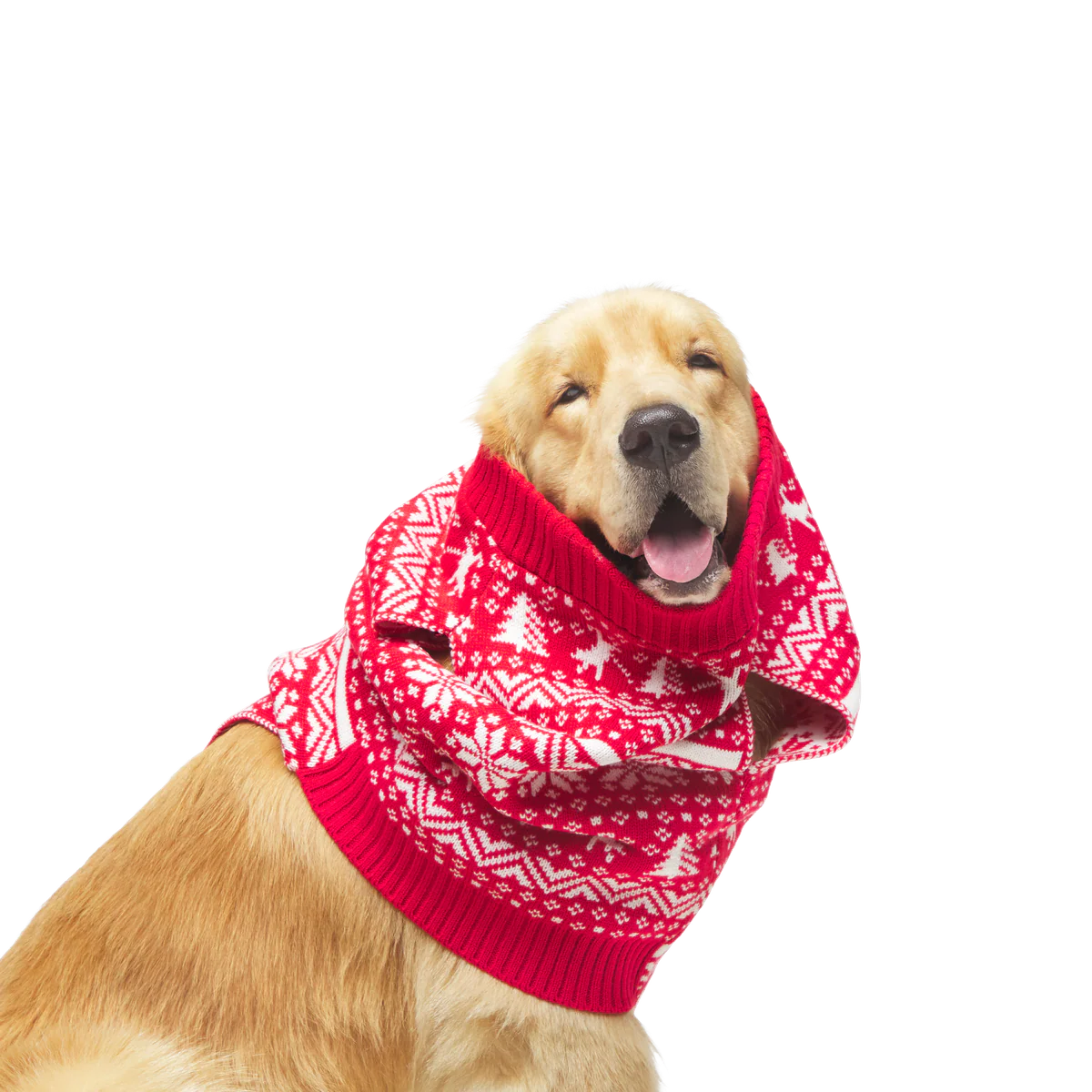 Holiday Sweater Wearable For Dogs - Image 10