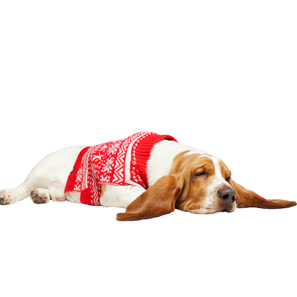 Holiday Sweater Wearable For Dogs - Image 3