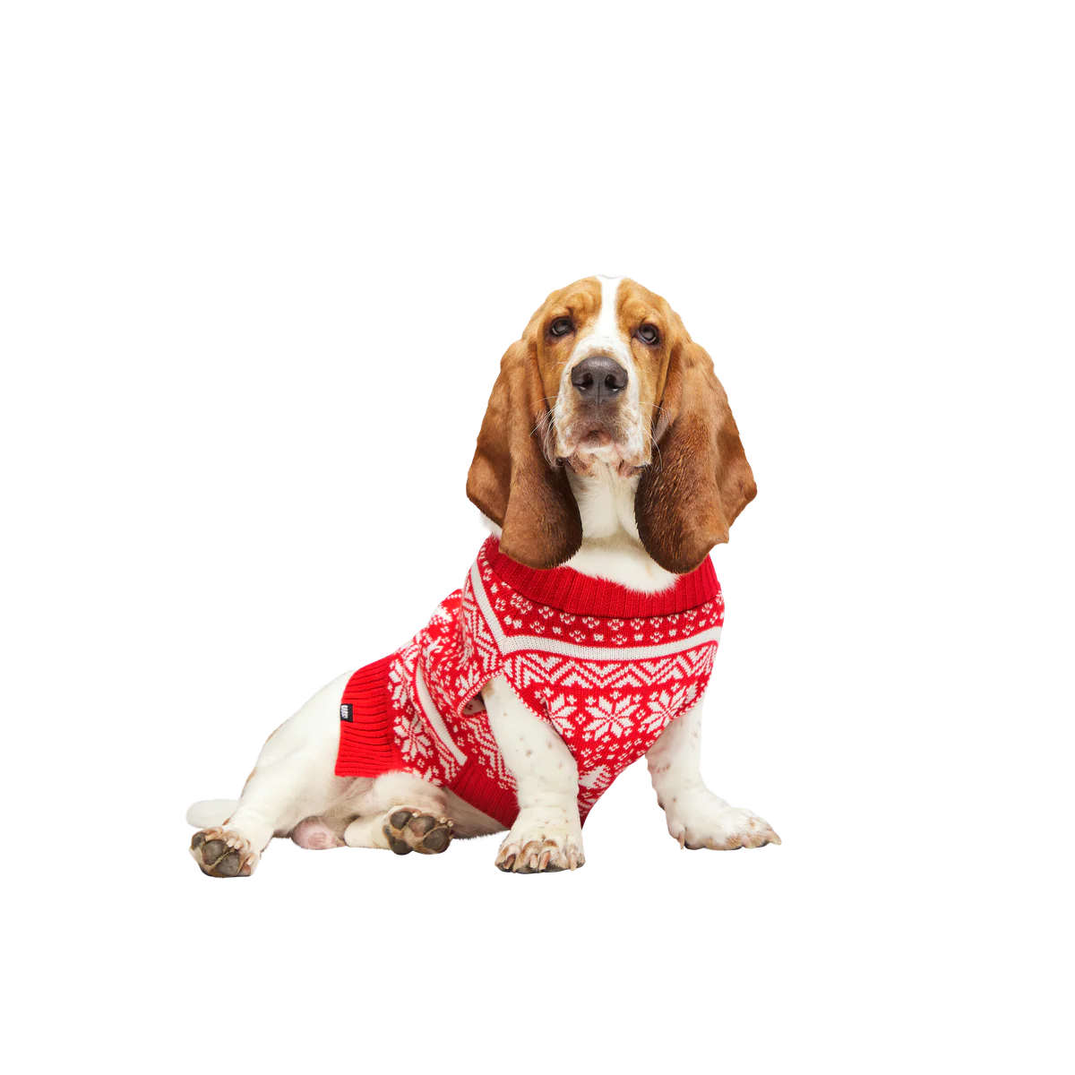 Holiday Sweater Wearable For Dogs - Image 4