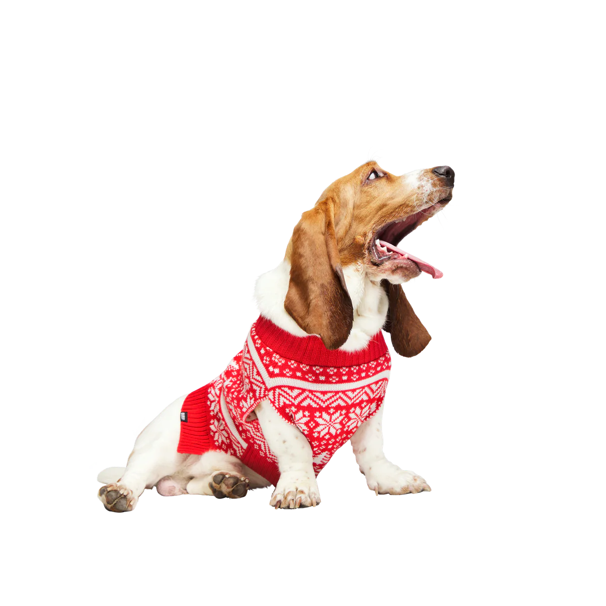 Holiday Sweater Wearable For Dogs - Image 6
