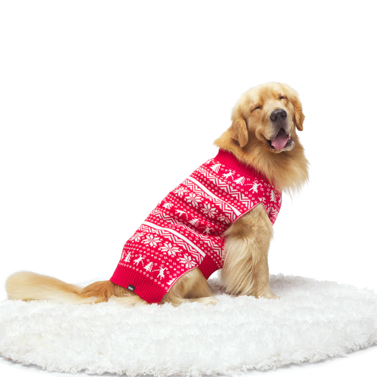 Holiday Sweater Wearable For Dogs - Image 8