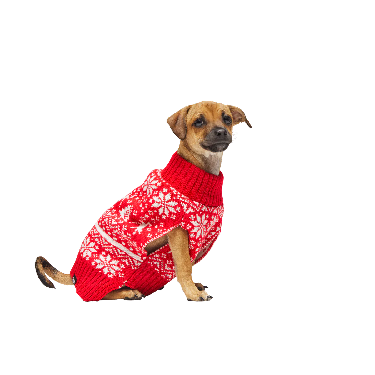Holiday Sweater Wearable For Dogs - Image 9