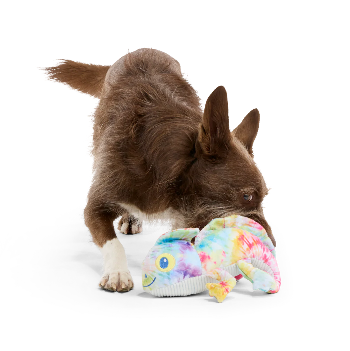 The Lizard King Plush Dog Toy - Image 2
