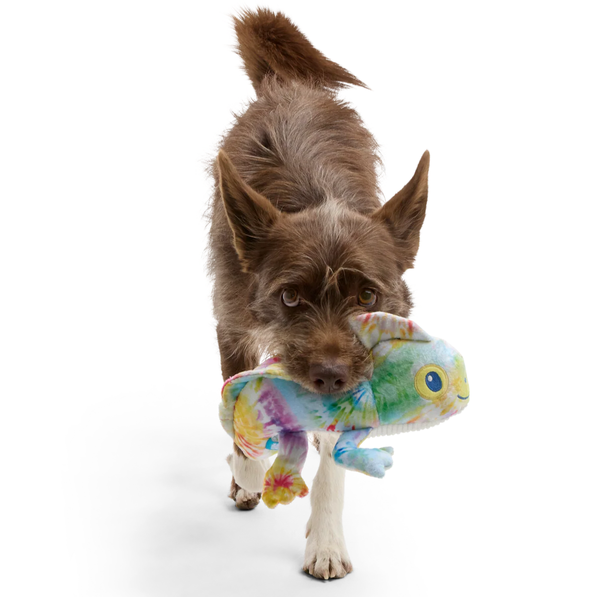 The Lizard King Plush Dog Toy - Image 3