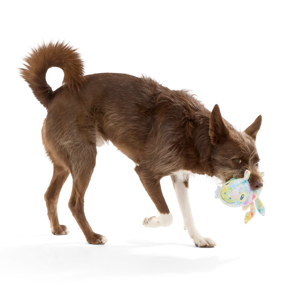 The Lizard King Plush Dog Toy - Image 4