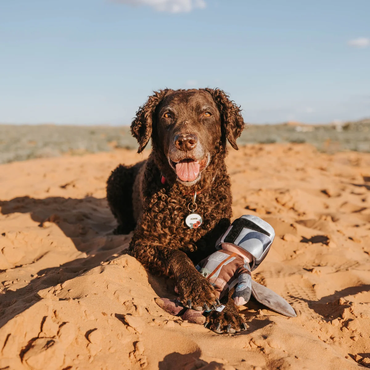 The Mandalorian™ Bounty Fetcher Plush Tug + Multi-Part Dog Toy - Image 4