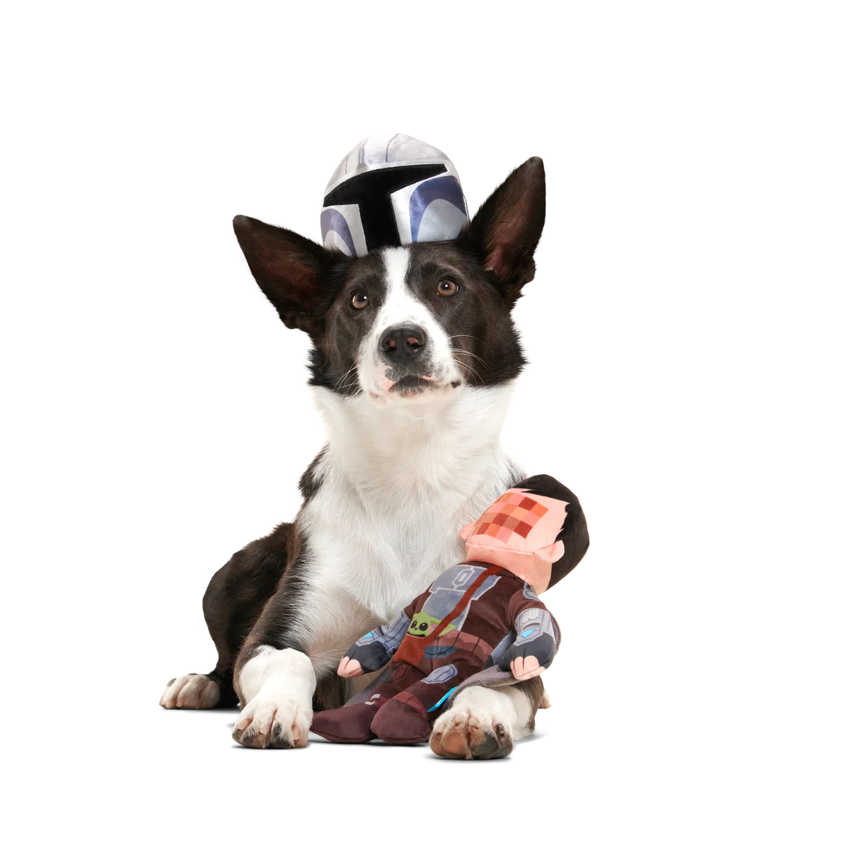 The Mandalorian™ Bounty Fetcher Plush Tug + Multi-Part Dog Toy - Image 7