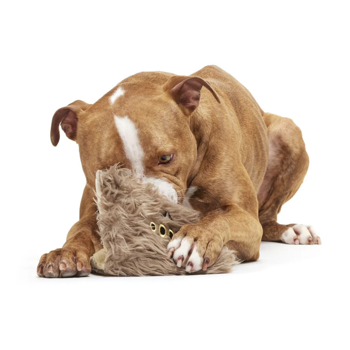 Monster Book of Monsters™ Plush Dog Toy - Image 3