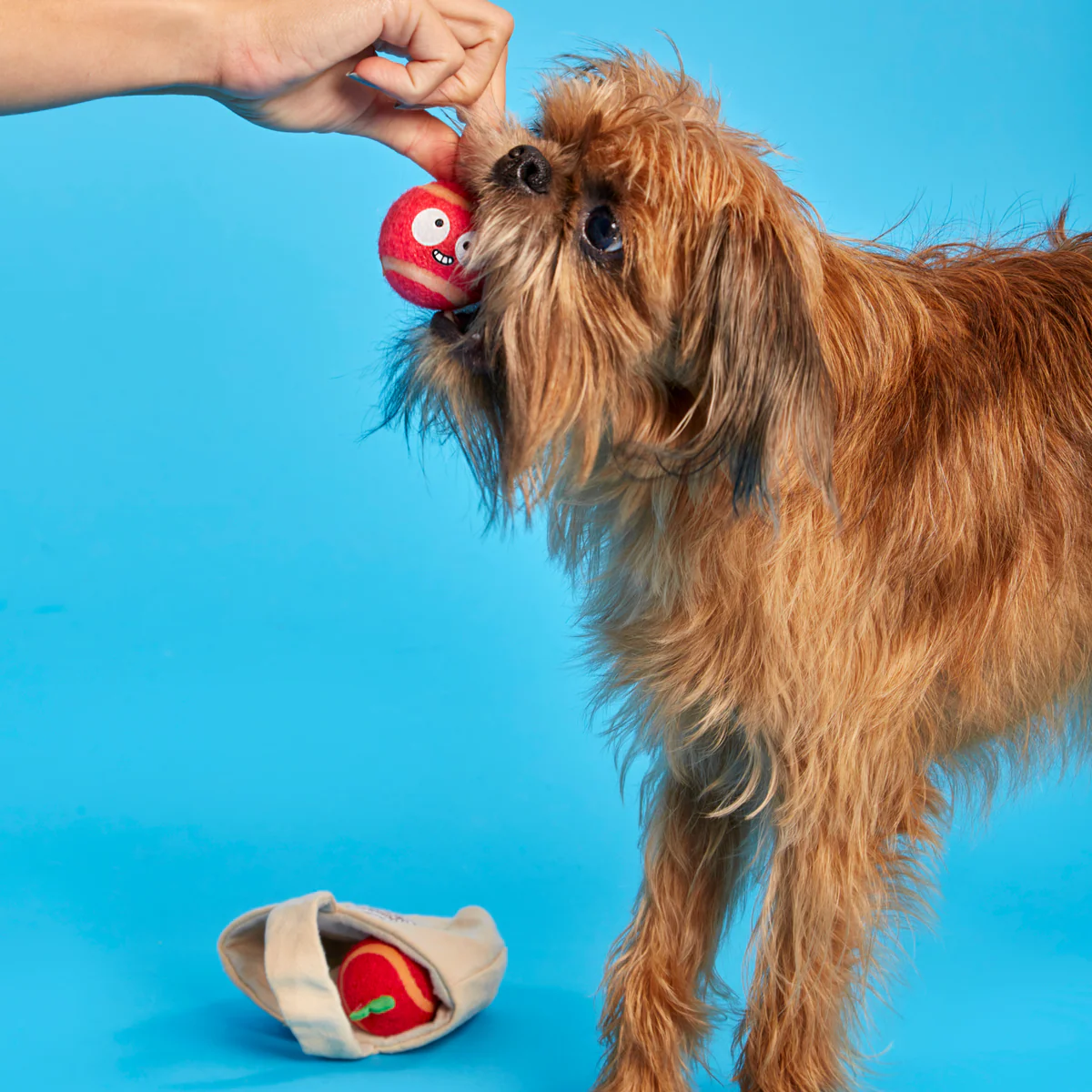The Munch Bunch Plush Enrichment + Multi-Part + Fetch Dog Toy - Image 4