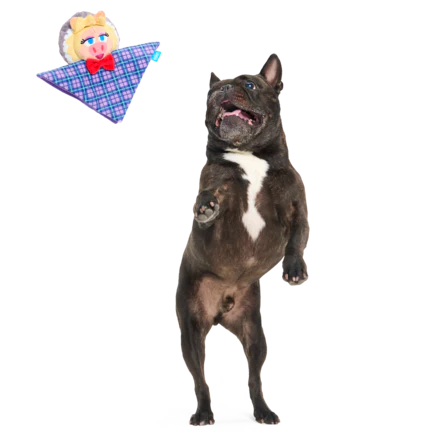 The Muppet Kermit & Miss Piggy Bundle Plush Multi-Part Dog Toy - Image 10
