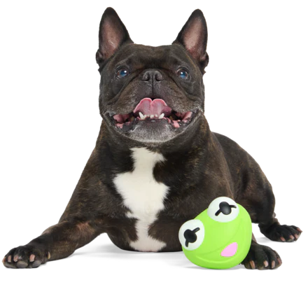 The Muppet Kermit & Miss Piggy Super Chewer Bundle Durable Multi-Part Dog Toy - Image 10