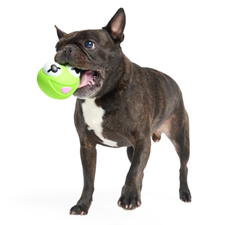 The Muppet Kermit & Miss Piggy Super Chewer Bundle Durable Multi-Part Dog Toy - Image 6